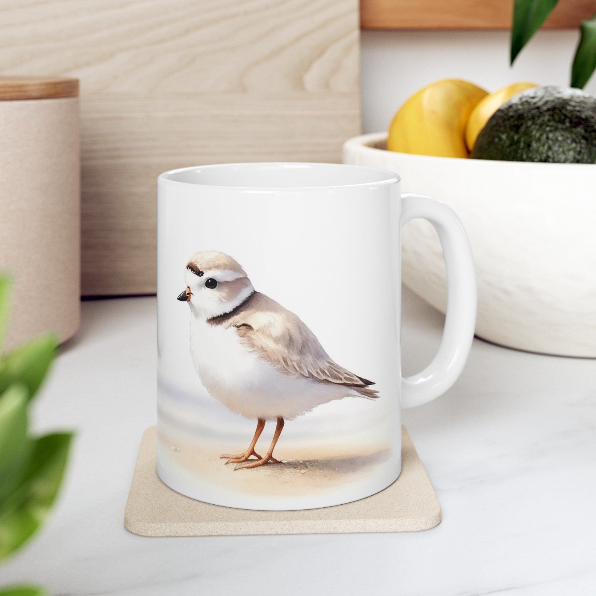 Piping Plover, Shorebird, Beach, Beach Home Decor, Bird Watching, Ocean