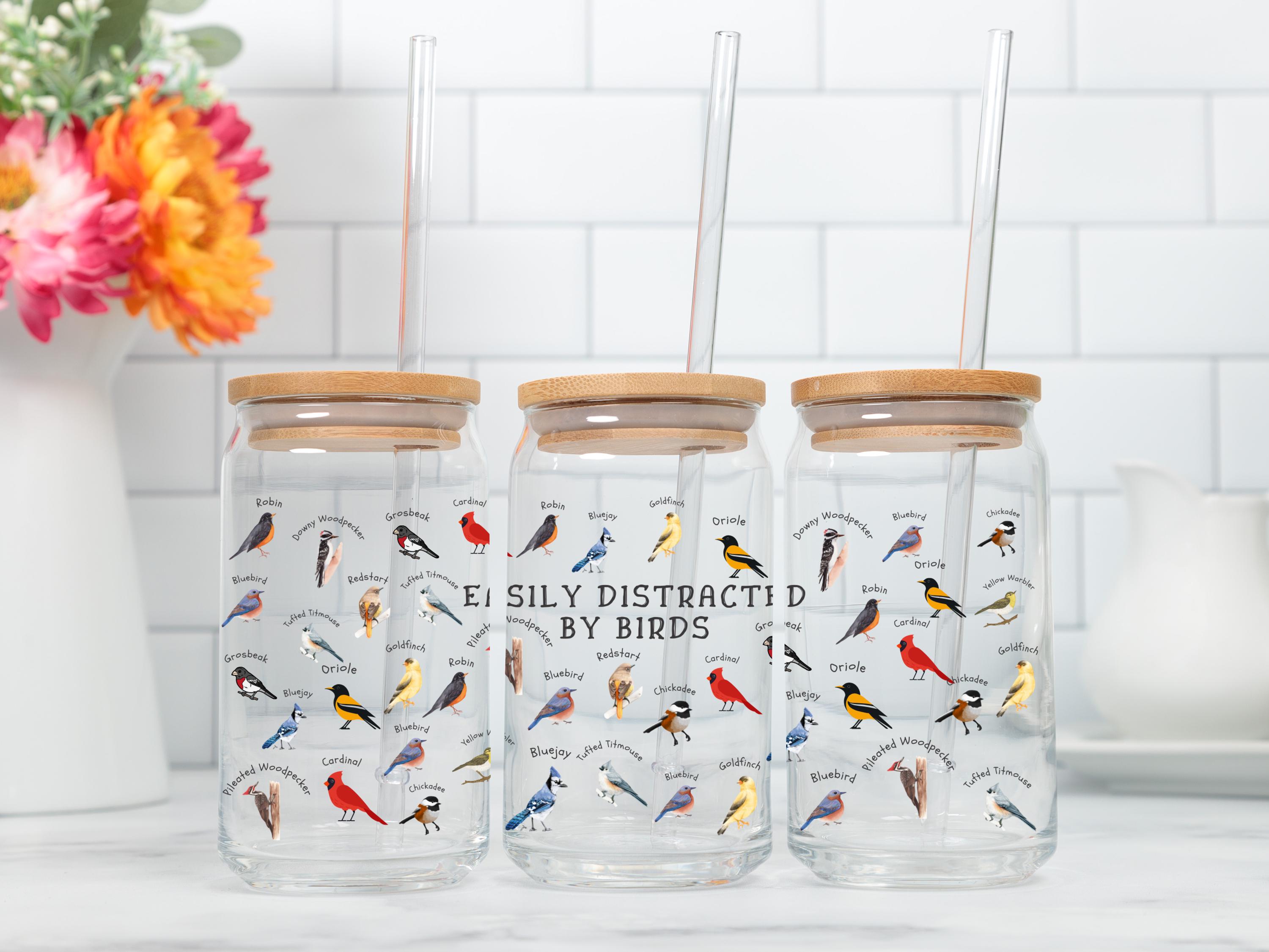 Copo Sipper facilmente distraído por pássaros com canudo, pássaros, vidro em forma de lata Copo Sipper com canudo, Sipper Glass com tampa, 16 onças