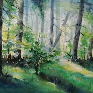 Bosco incantato - acquerello su carta - paesaggio