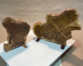 Dual wood art, natural and upright to see the beauty