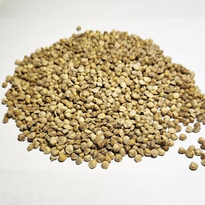 Spinach - Microgreen Seeds RFS