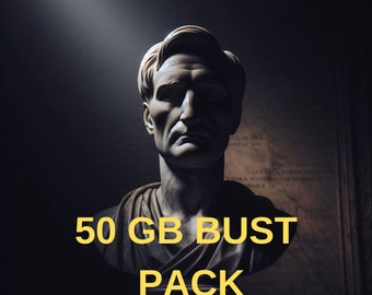 50 gb Bust Stl Package