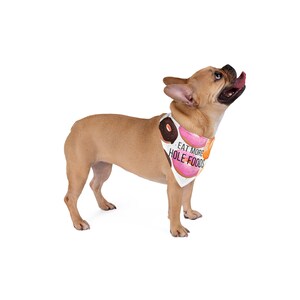 Dog and Bandana, Everyday Dog Bandana, Dog Bandana Funny, Funny Dog Scarf, Dog Bandana Over the Collar, Gift for Dog Lover, Gift for New Dog