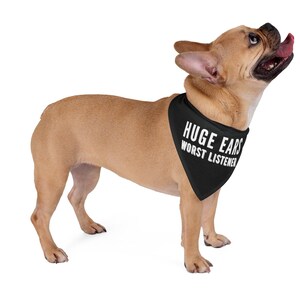Everyday Dog Bandana, Dog and Bandana, Dog Bandana Over the Collar, Gift for Dog Lover, Cute Dog scarf, Dog Gift Accessory, Gift for New Dog