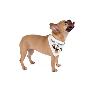 Dog and Bandana, Everyday Dog Bandana, Dog Bandana Funny, Funny Dog Scarf, Dog Bandana Over the Collar, Gift for Dog Lover, Gift for New Dog