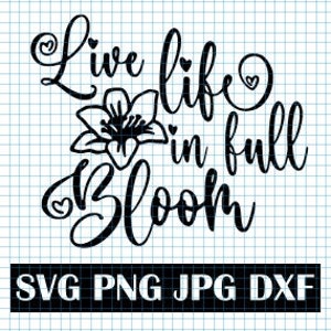 live life full bloom svg, bloom svg, live life svg, spring svg, in full bloom, inspirational svg, motivational svg