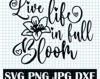 vive la vida en plena floración SVG, florecer SVG, vive la vida SVG, primavera SVG, en plena floración, SVG inspirador, SVG motivacional