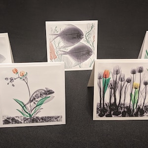Tarjetas de felicitación fotográficas de rayos X del artista holandés de renombre mundial y ex físico médico Arie van 't Riet
