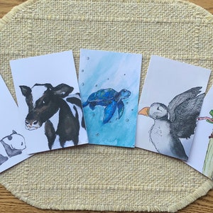 Cartes de vœux Animal Planet : lot de cinq