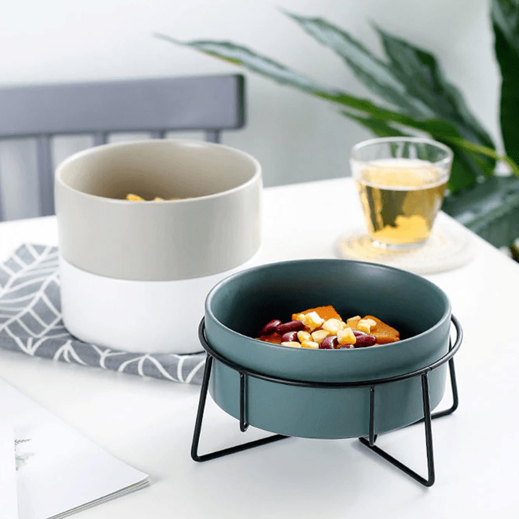 ceramic dog bowls medium