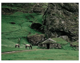 Stampa fotografica artistica di cavalli islandesi: paesaggio islandese, pellicola di medio formato