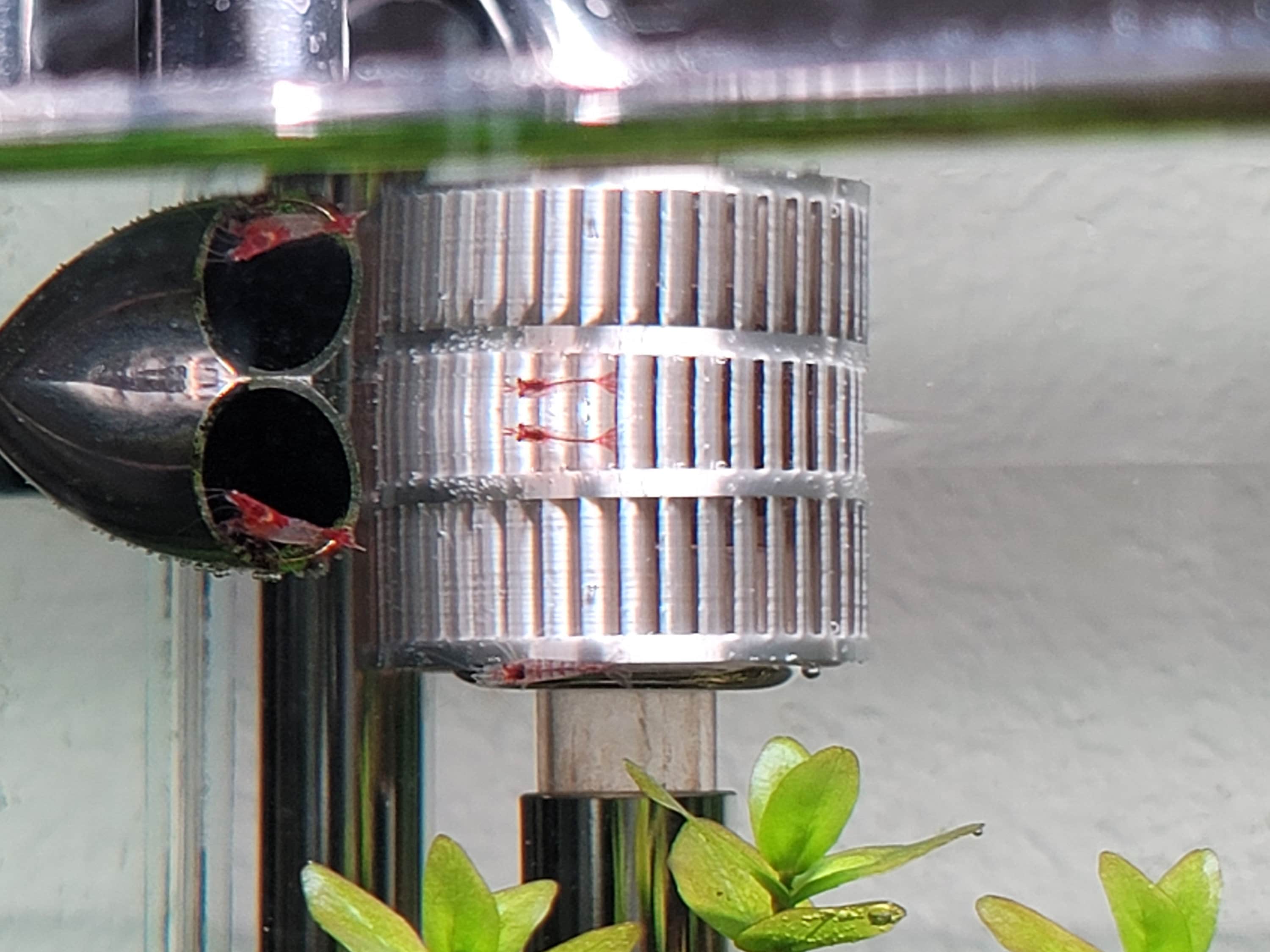 Lily Pipe Skimmer Guard pair. Keep Shimp and Small Fish Safe 3d Printed