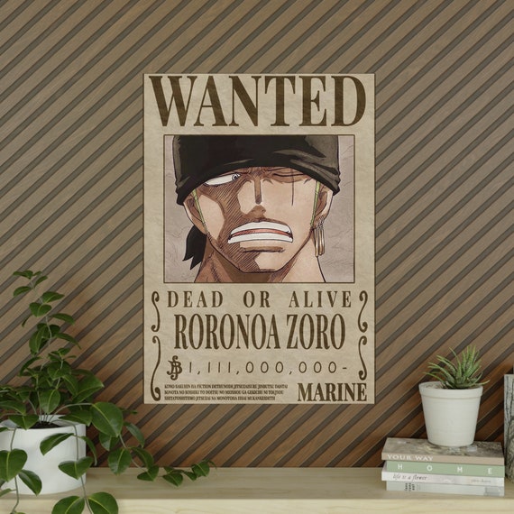 affiche prime one piece affiche prime one piece