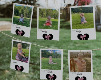 Minnie Mouse Photo Banner, Minnie Mouse Birthday Party Decor, Minnie Mouse Monthly Banner, Girl Pink Party Decor, Photo Banner, Digital