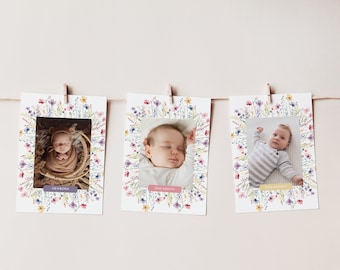 Fotos del primer año de flores silvestres, Fotos de hitos de cumpleaños de flores silvestres, Fotos del mes del primer año del bebé, Banner fotográfico mensual, Foto de flores rosas