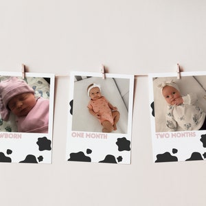 Holy Cow I&#39;m One First Year Girl Milestone Banner Template, First Birthday Cow Print Milestone Banner, EDITABLE Instant Download