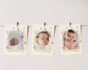Bee Birthday Photo Banner, Bee 1st Birthday Banner, 1st Bee Day Monthly Banner, Floral Bee Birthday Milestone Banner 1st Birthday Girl