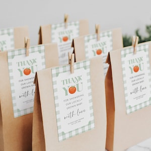 May include: Brown paper bags with green and white gingham patterned thank you tags. The tags feature a red tomato illustration and the text "Thank You for showering our locally grown baby with love".