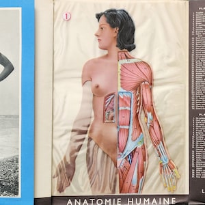 Vintage Anatomy 1952 – Larousse Booklet, 8 Color Transparencies, Medical Plates