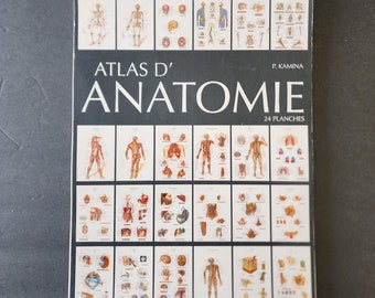 Atlas of Anatomy 2020 4th Edition Ebook Pdf - Etsy