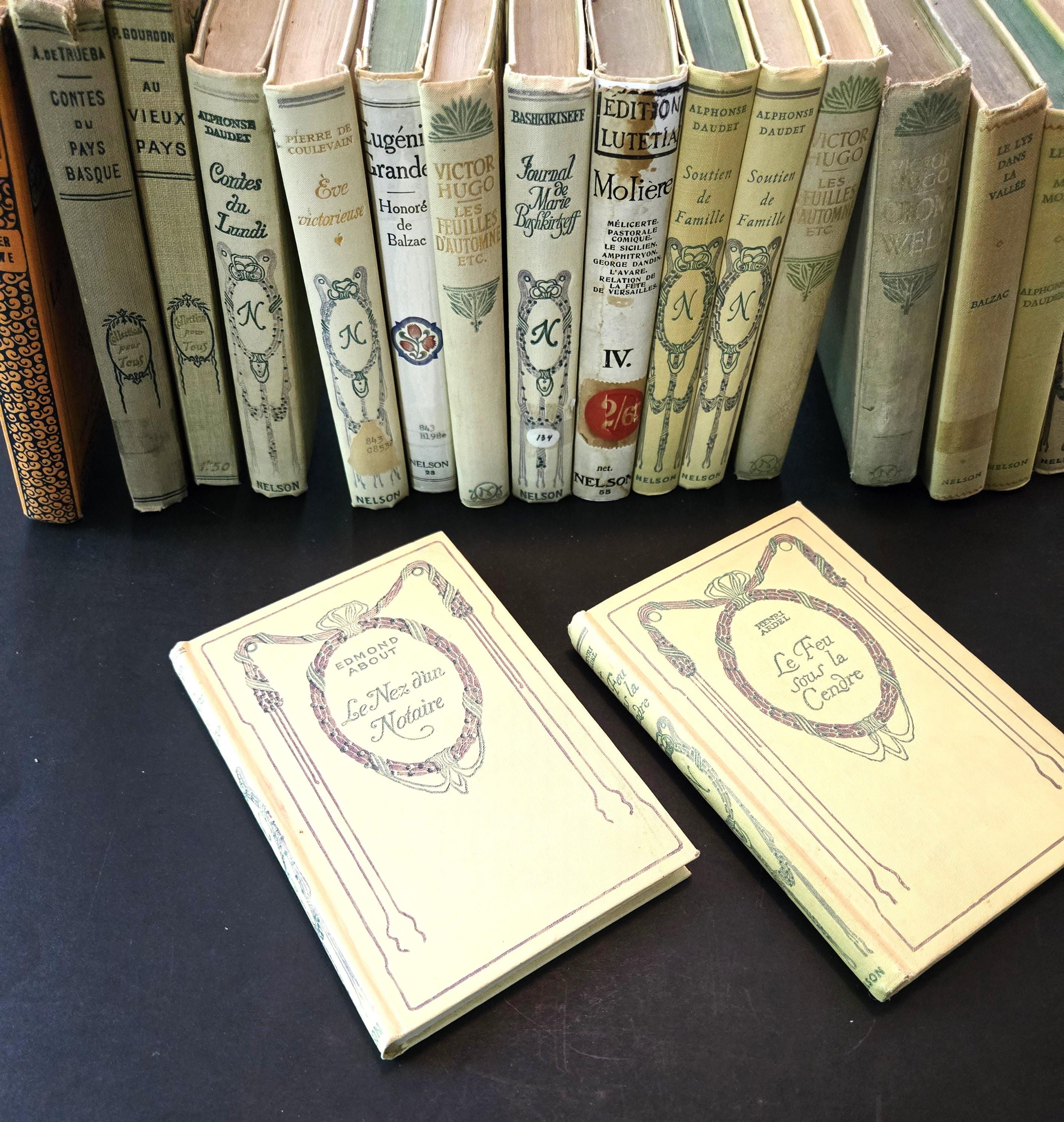 ビンテージ洋書　ネルソン社　フランス小説 1930年代　2冊セット ビンテージ洋書 ネルソン社 フランス小説 1930年代 2冊セット