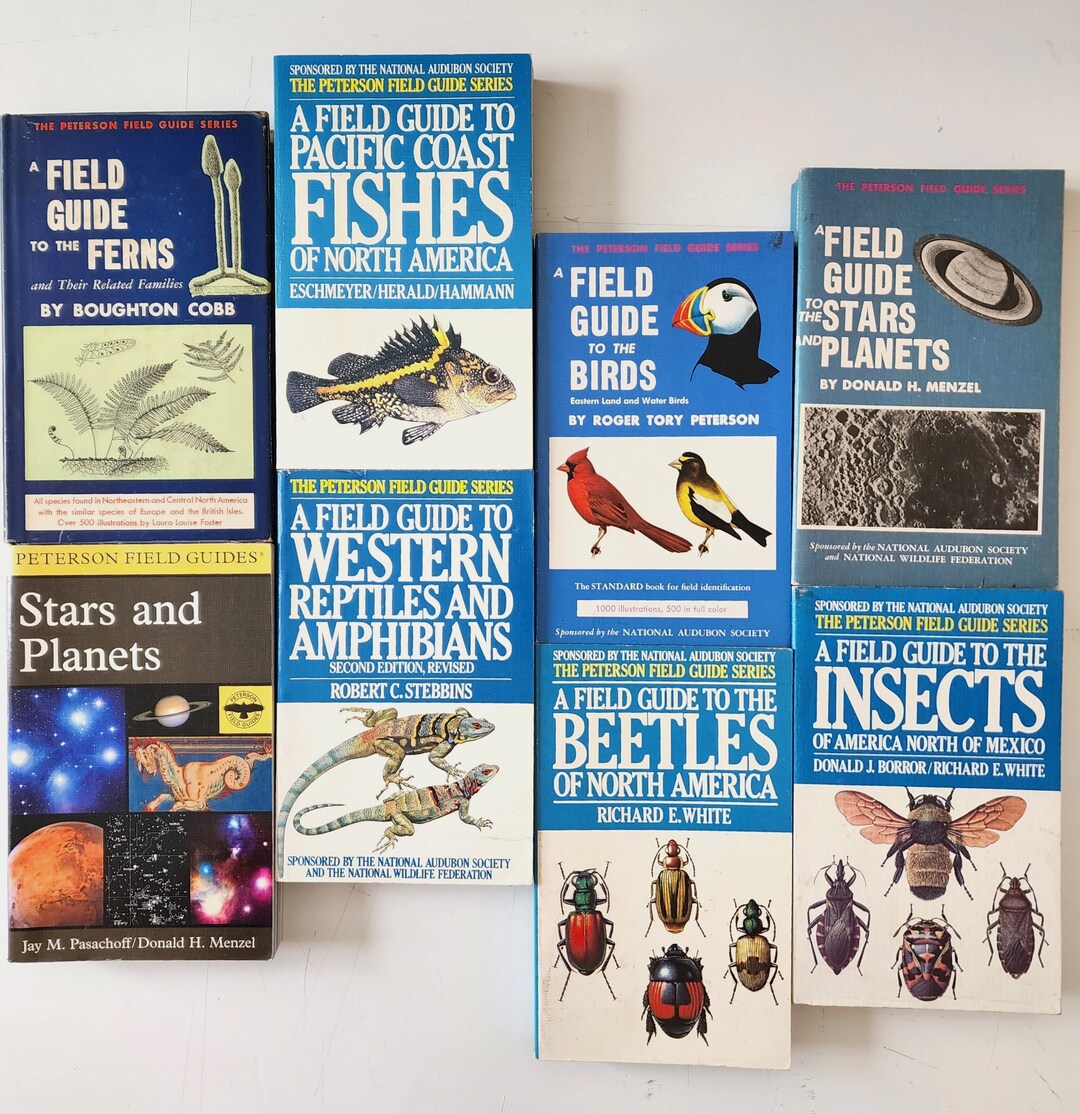 【中古】A Field Guide to the Beetles of North America: Text and Illustrations／Richard E. White／Houghton Mifflin Harcourt 中古】A Field Guide to the Beetles of North America: Text
