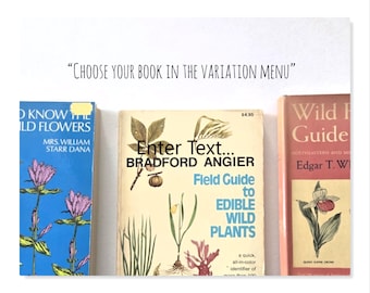 Vintage Wildflower Field Guides – Botanical & Edible Plants Books – Illustrated Nature Guides