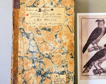 Op de afbeelding: Een antiek boek met een gemarmerde oranje en zwarte kaft en een handgeschreven papieren label met de tekst Leclerc de Buffon, Histoire naturelle des générale et particulière, Des Oiseaux, Tome 38, Année IX de la Révolution 1801.