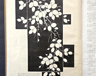 French Art Deco 1923 — Decorative Design Archive, Illustrated Hardcover Volume, Ornamental Models & Vintage Illustrations