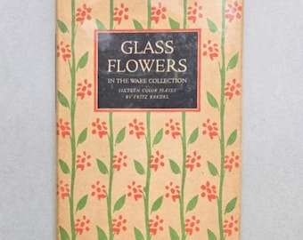 Op de afbeelding: Een rechthoekig boek met een beige kaft voorzien van een herhalend patroon van groene stengels en rode bloemen. Een centraal zwart rechthoekig label bevat de witte tekst: GLASS FLOWERS IN THE WARE COLLECTION SIXTEEN COLOR PLATES BY FRITZ KREDEL.