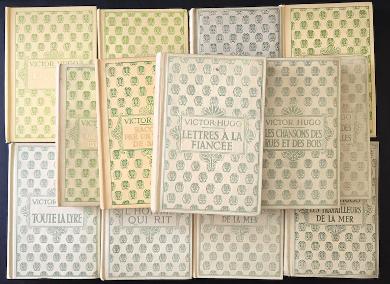 May include: A selection of vintage books by Victor Hugo, with patterned covers in green and white. Titles include "Lettres &agrave; la Fianc&eacute;e" and "Les Chansons des Rues et des Bois". The covers have a repeating floral design. The books are arranged in a neat display.