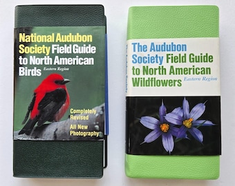 Vintage Audubon Field Guide Birds & Wildflowers – North American Eastern Region nature books 1990s illustrated field guides