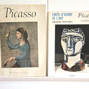 May include: Two softcover books featuring Picasso art. The left book cover shows a painting of a person in a blue shirt with the text Picasso and 16 beautiful full color prints. The right book cover displays a sculpture with the text Chefs-d'oeuvre de l'art Grands Peintres Picasso Sculptures Hachette.
