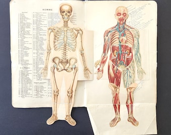 Rare book. Atlas Anatomique du Docteur Vernon Paris [1890]. Antique French Book. Human Anatomy Fold-Out Book