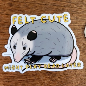Possum &quot;Felt cute might play dead later&quot; vinyl waterproof sticker