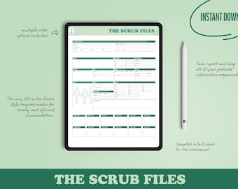 Nursing Report Sheet/Nurse Brain Template B
