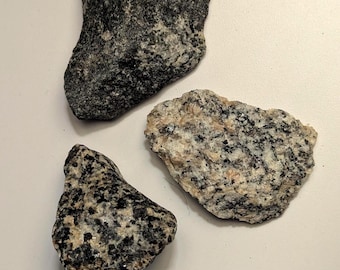 Granite Rock Specimen Trio • Natural Quartz & Feldspar Mineral-rich Stones • Georgia Piedmont Igneous Teaching Set