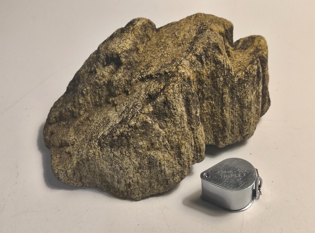 Sloped Sandstone * Over 1 Pound Clastic Sedimentary Rock Specimen or ...