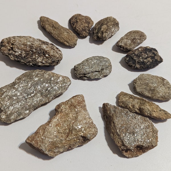 Schist Rocks * Colorful Set of Small, Metamorphic Specimens or Decorative Stones for Classroom, Display, Lapidary, Crafts, and Hobbies