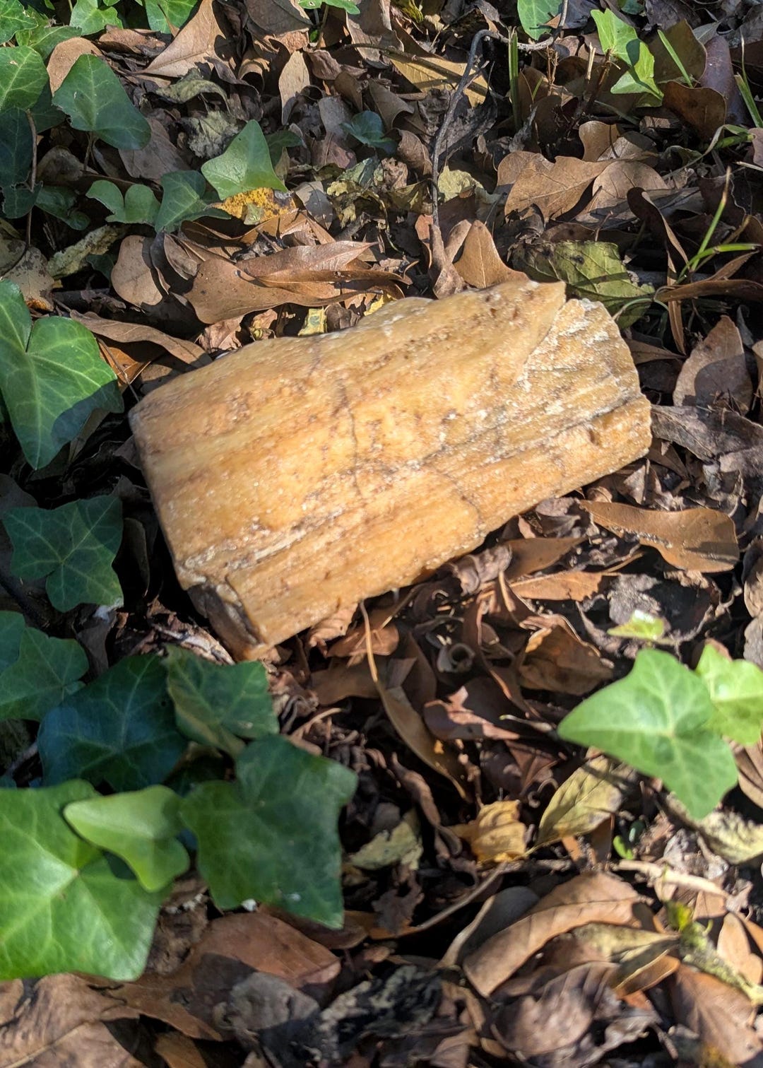 Natural Butterscotch Quartzite: Hand-sized, Metamorphic Rock or ...