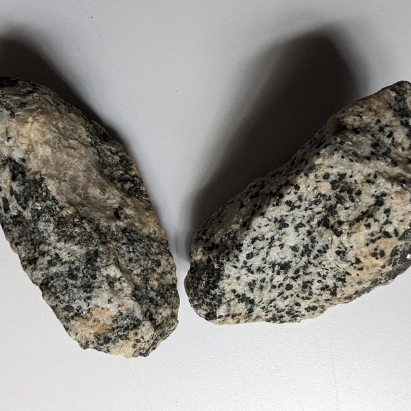 Intrusive Igneous Rocks * 2 Pc Set, Porphyritic Granite & Layered Diorite (or AKA, Black Granite), Shiny Decorative Stones for Home or Hobby