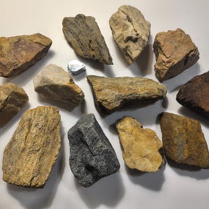 Moms Big Rock Box * Lot of 12 Rocks, Fossils, & Antique Mineral Specimens, Decorative Stones for Display, Education, Craft, Home, and Hobby