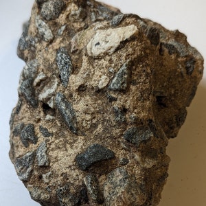 Large Breccia Freshwater Sedimentary Rock Specimen for Education ...