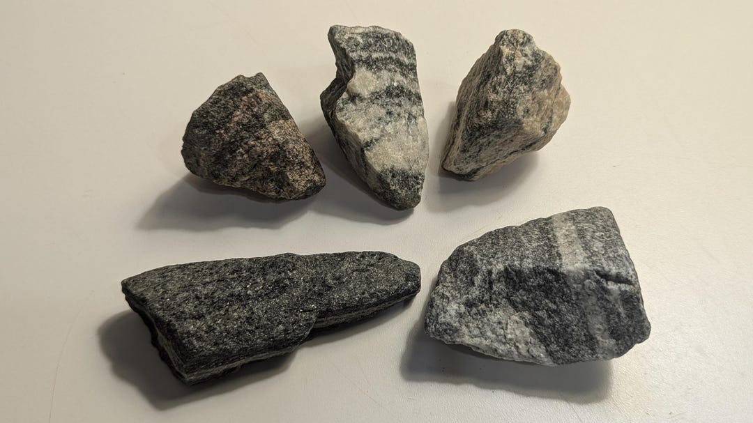 Small Gneiss Rocks 5 Banded Metamorphic Specimens or Decorative Striped ...