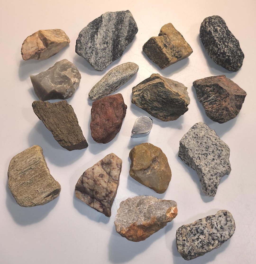 Moms Rocks, Crystals, & Mineral Box * Small Sedimentary, Igneous, and ...