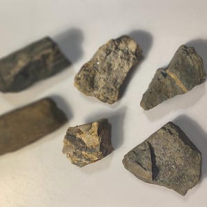 Sedimentary & Igneous Specimens * Set of 6 Common Rocks or Decorative Stones for Display, Education, Terrarium, Craft, Home, and Hobby
