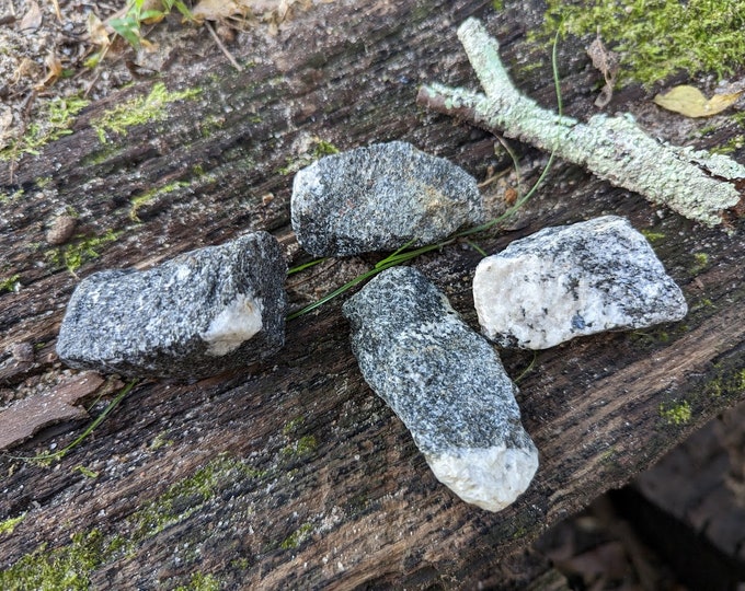 Intrusive Igneous Rock Set Featuring Feldspar & Crystalized Mineral ...