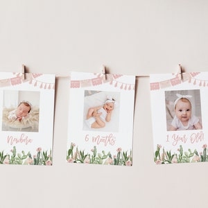 SOFIA | First 1st Birthday Fiesta Cactus Taco Pink Girl Floral Monthly Milestone Photo Banner Template, Instant Digital Download Editable