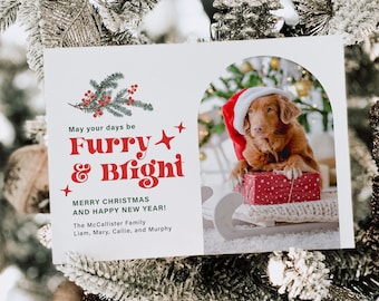 May include: A Christmas card with a festive design featuring a dog wearing a Santa hat and riding a sled. The card reads "May your days be Furry & Bright Merry Christmas and Happy New Year! The McCallister Family Liam, Mary, Callie, and Murphy."
