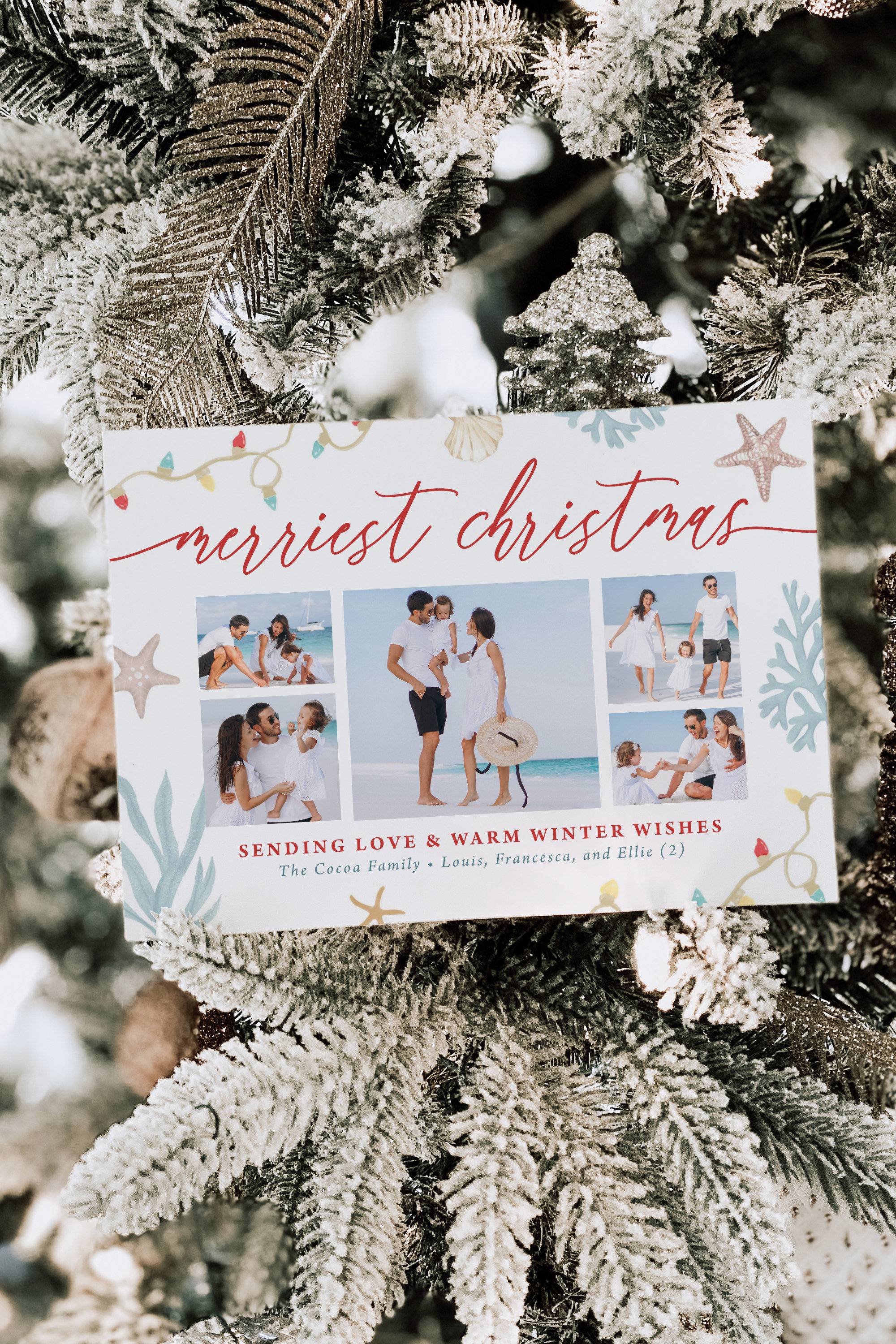 holiday photo cards - etsy